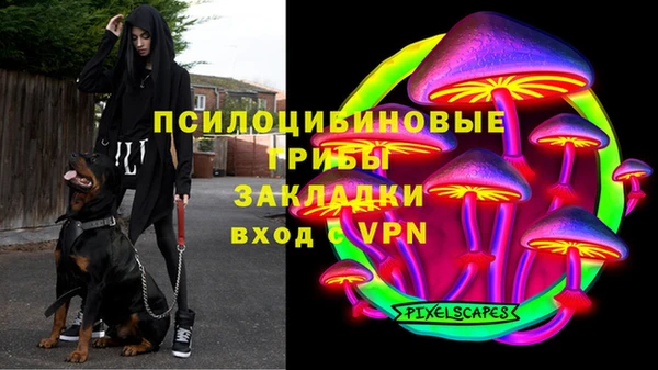 гидропоника Верея