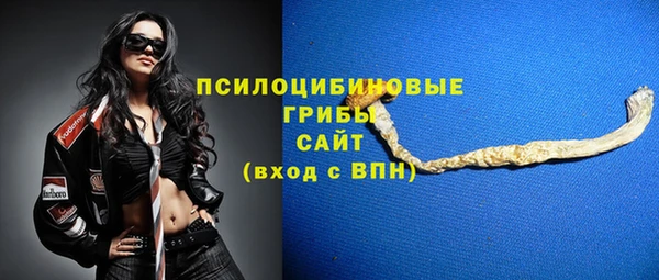 альфа пвп Верхнеуральск