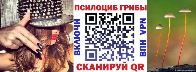Галлюциногенные грибы мицелий  Кизилюрт 